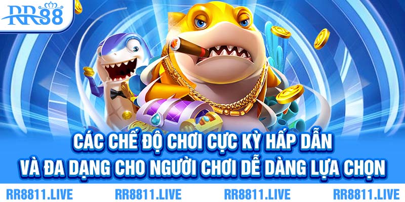 Các chế độ chơi cực kỳ hấp dẫn và đa dạng cho người chơi dễ dàng lựa chọn